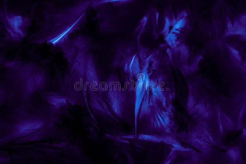 Detail Black Purple Background Nomer 19