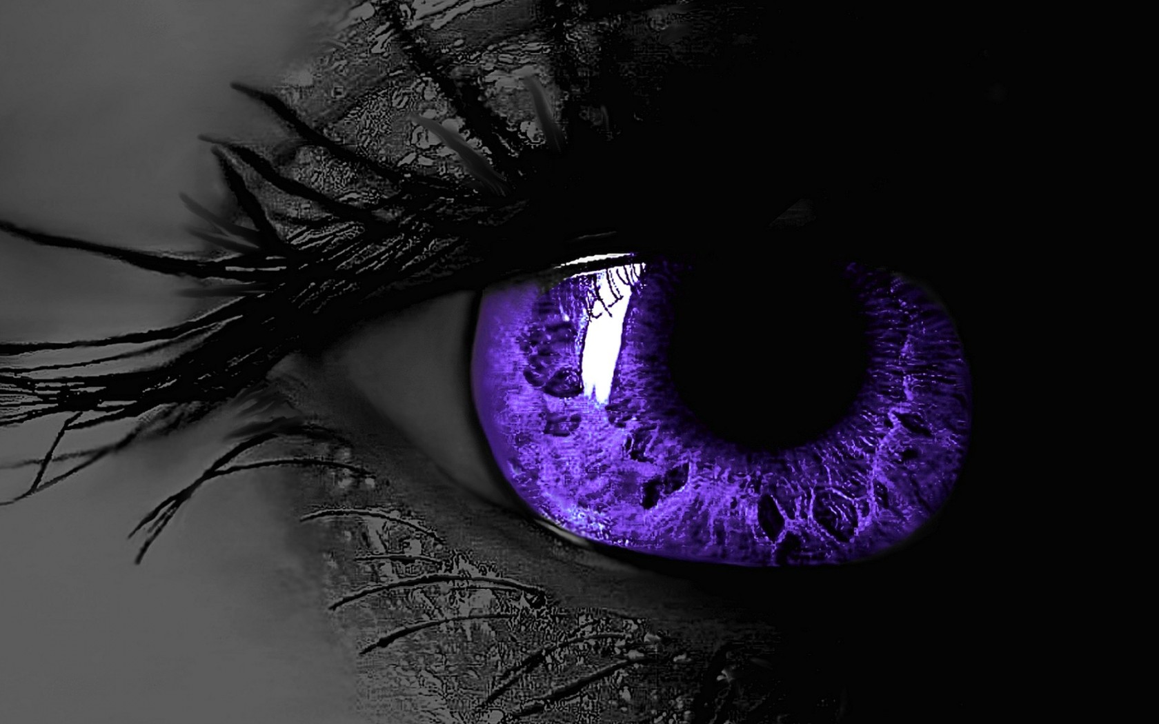 Detail Black Purple Background Nomer 51
