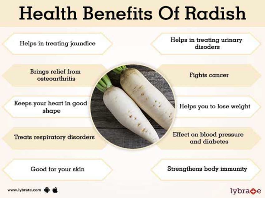 Detail Black Radish Medicinal Use Wikipedia Nomer 5