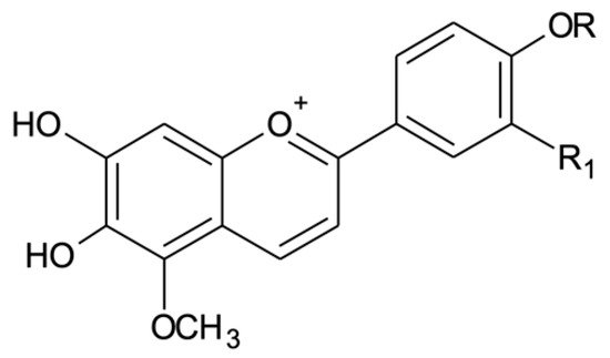 Detail Black Radish Medicinal Use Wikipedia Nomer 53