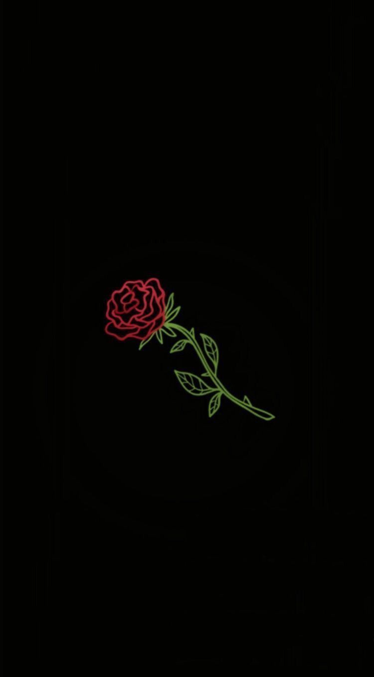 Detail Black Rose Background Nomer 25