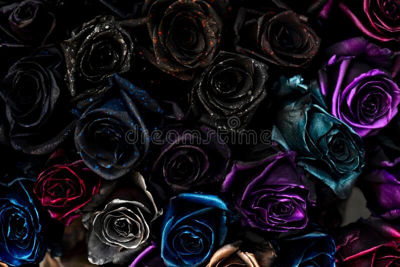 Detail Black Rose Background Nomer 41