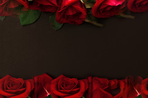 Detail Black Rose Background Nomer 54