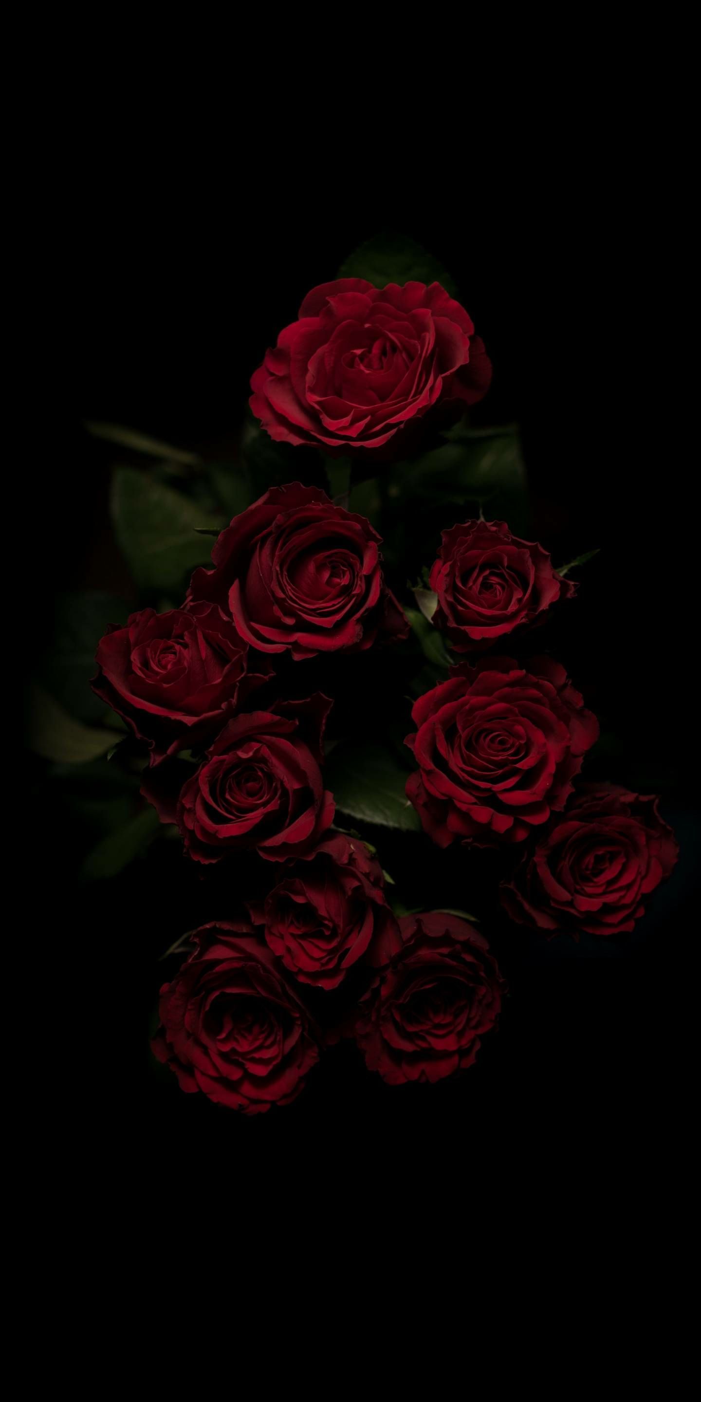 Detail Black Rose Background Nomer 10