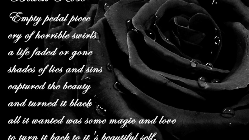Detail Black Rose Tumblr Nomer 49