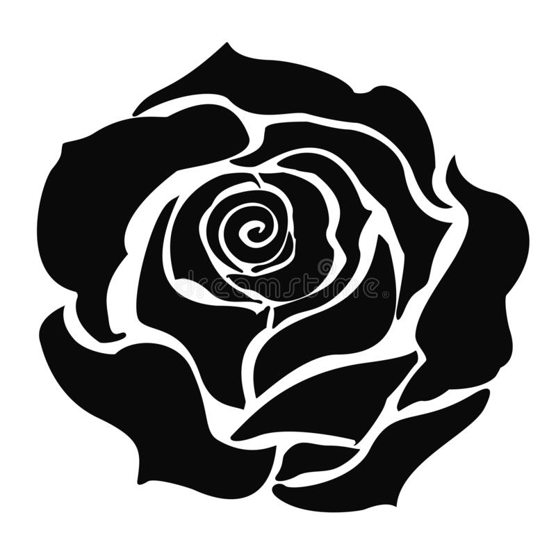 Black Rose Vector - KibrisPDR