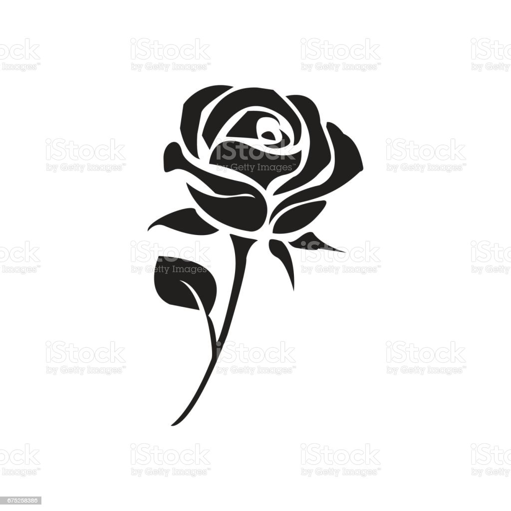 Detail Black Rose Vector Nomer 13