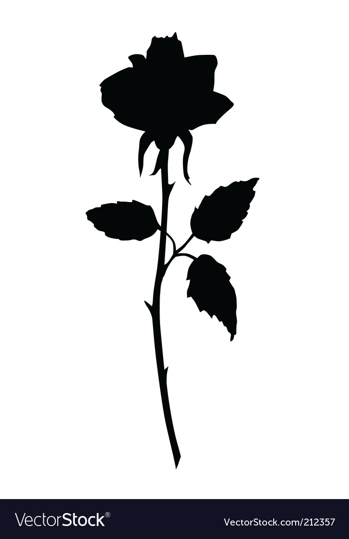 Detail Black Rose Vector Nomer 21