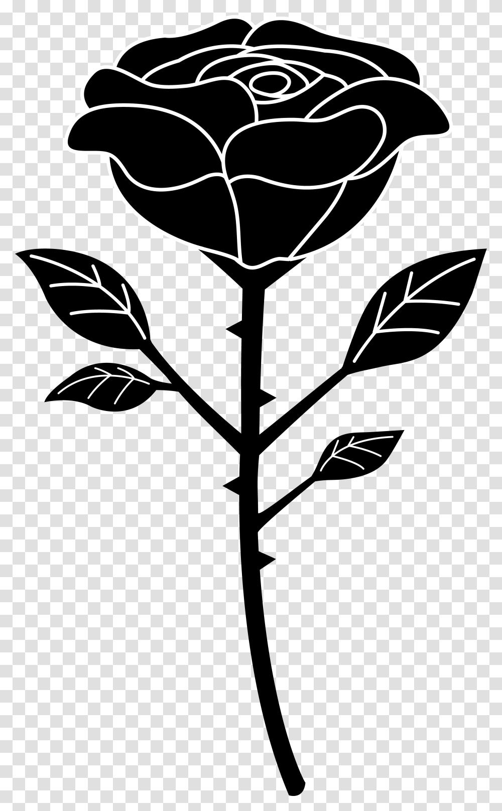Detail Black Rose Vector Nomer 22