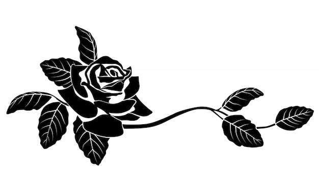 Detail Black Rose Vector Nomer 23