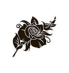 Detail Black Rose Vector Nomer 26