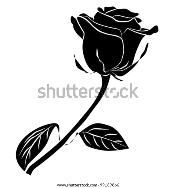 Detail Black Rose Vector Nomer 27