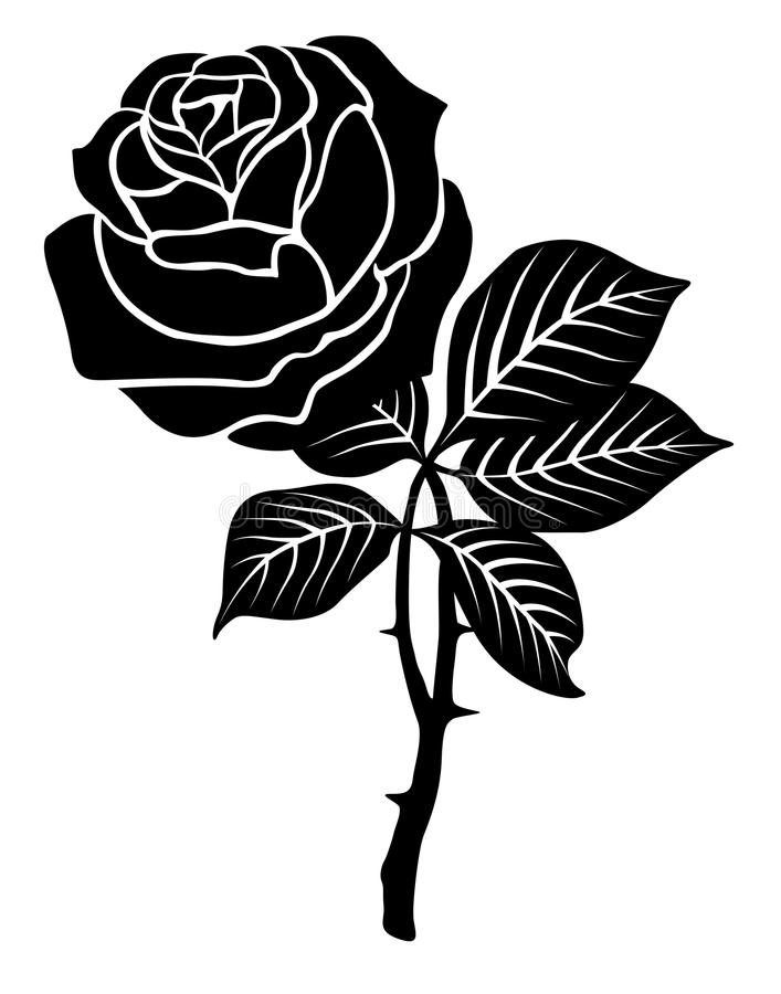 Detail Black Rose Vector Nomer 4