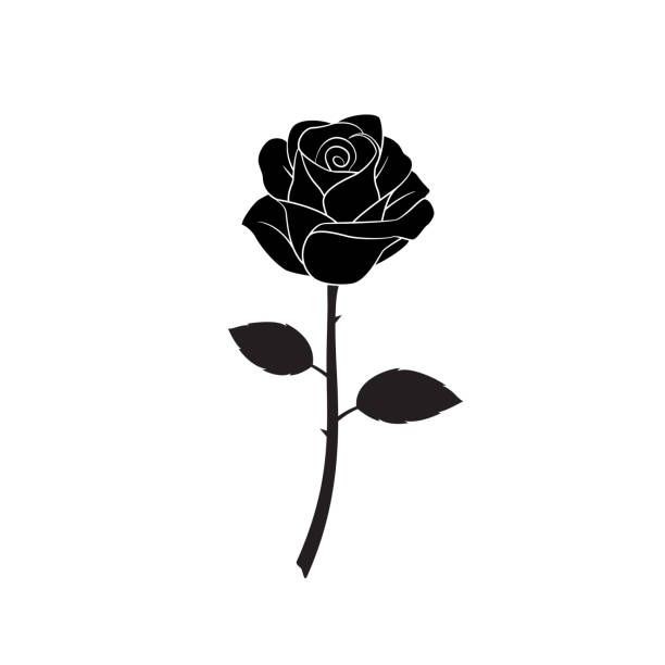 Detail Black Rose Vector Nomer 31