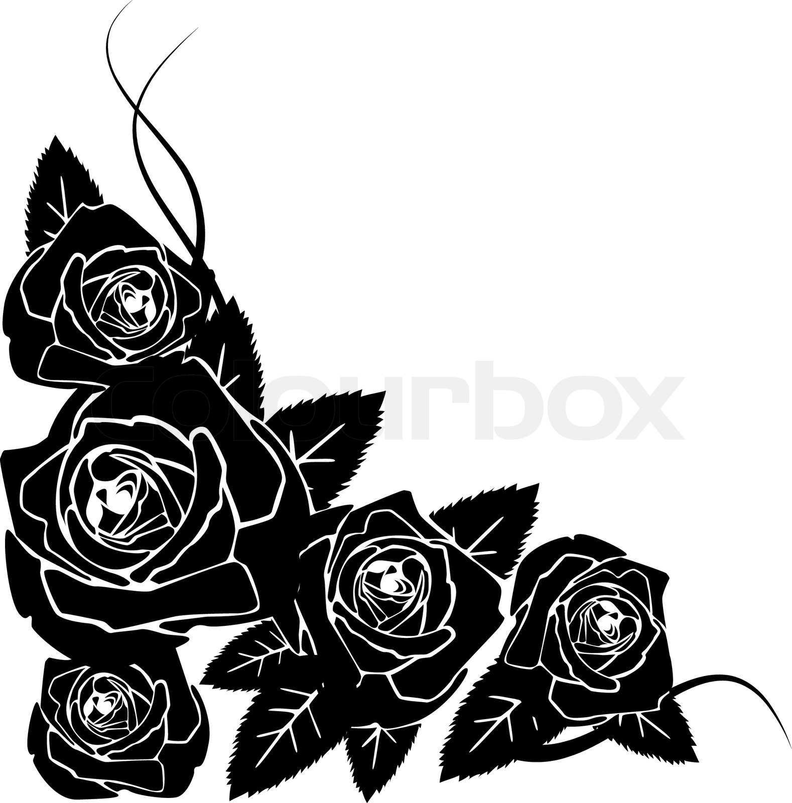 Detail Black Rose Vector Nomer 32