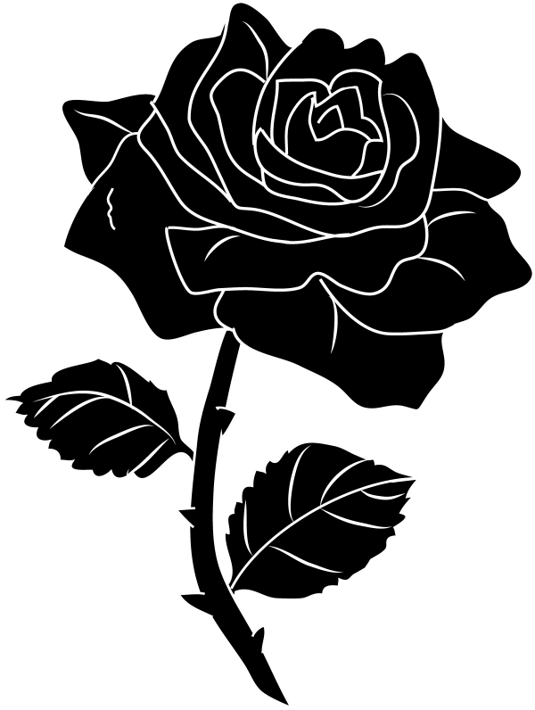 Detail Black Rose Vector Nomer 33