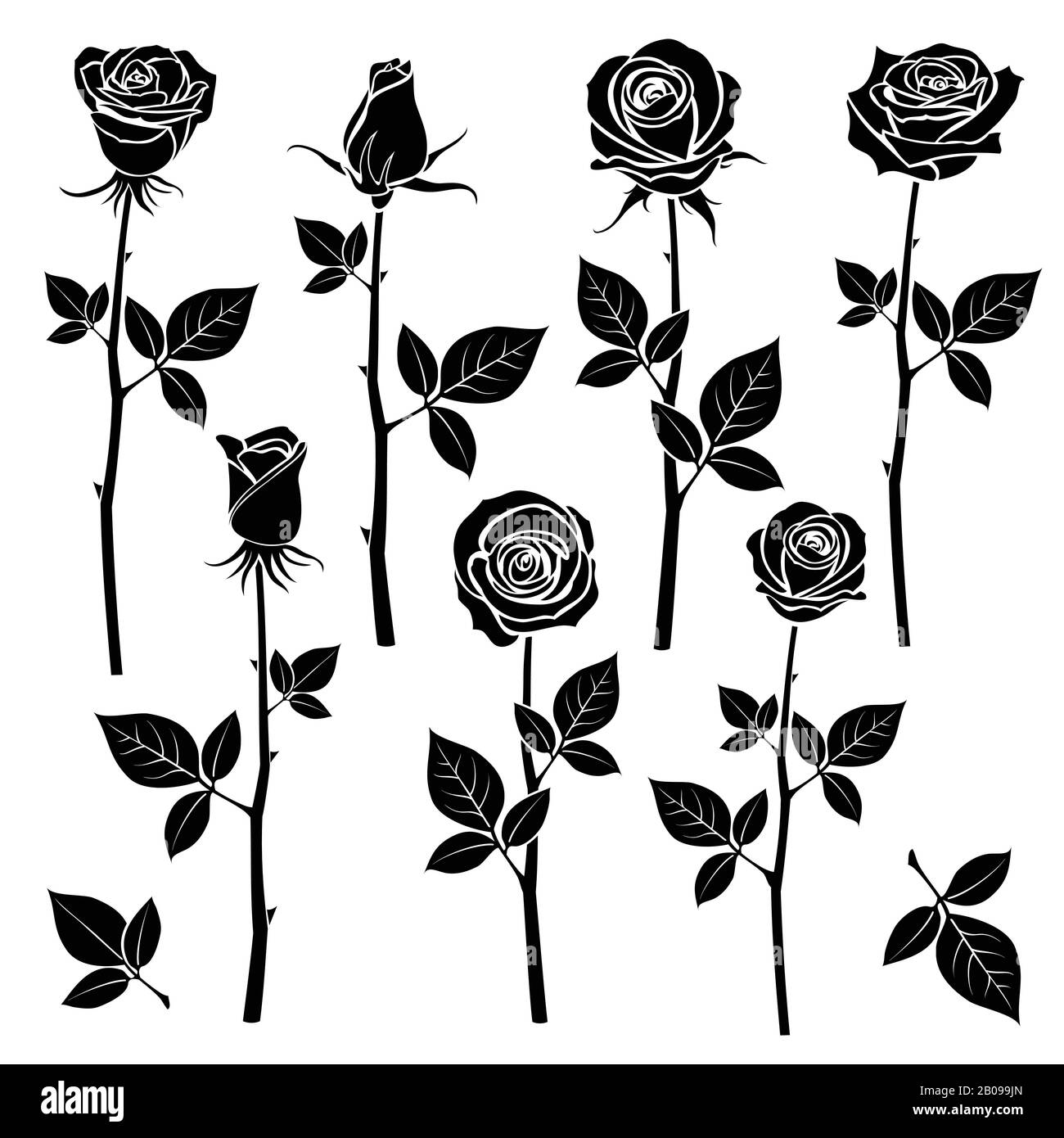 Detail Black Rose Vector Nomer 35