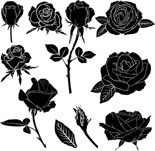 Detail Black Rose Vector Nomer 46