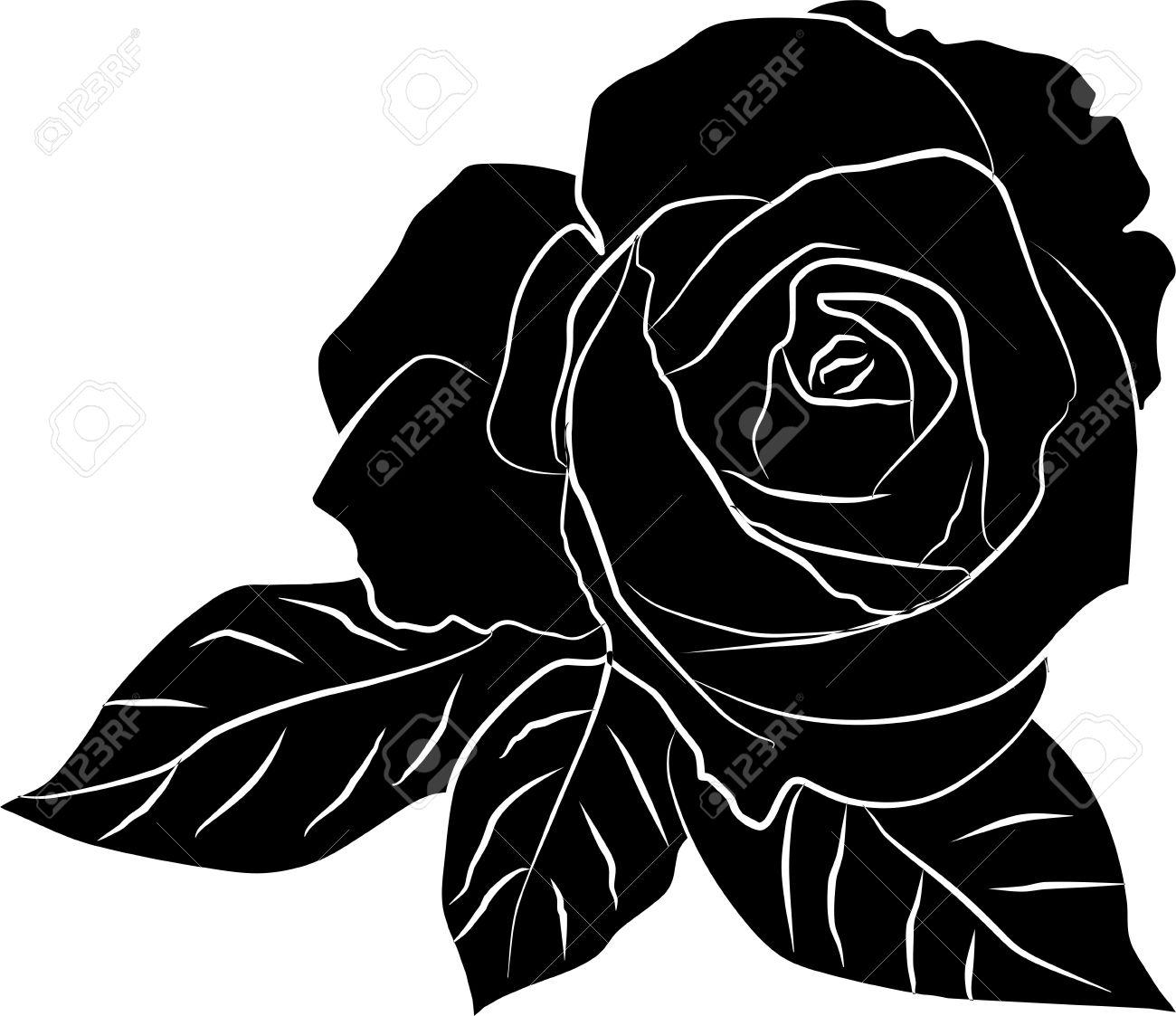 Detail Black Rose Vector Nomer 55