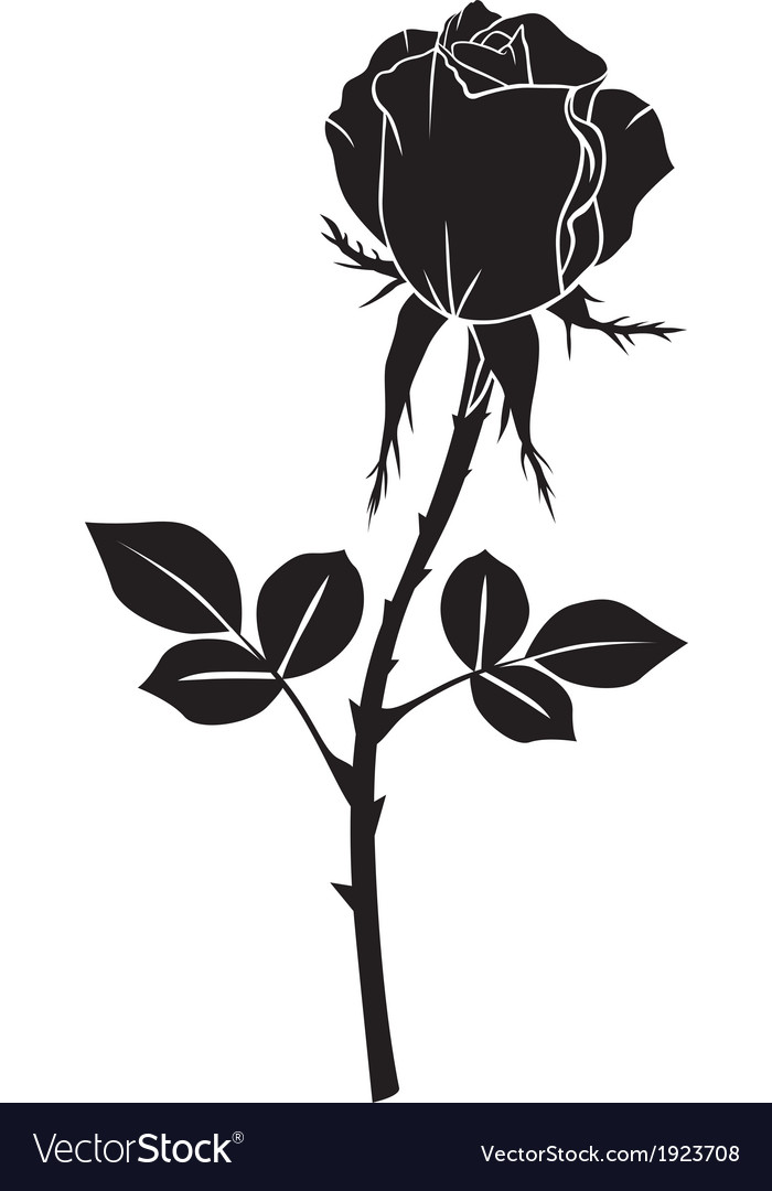 Detail Black Rose Vector Nomer 7