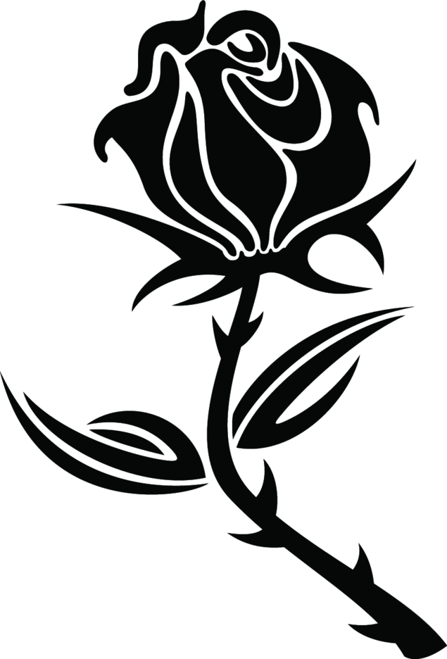 Detail Black Rose Vector Nomer 9