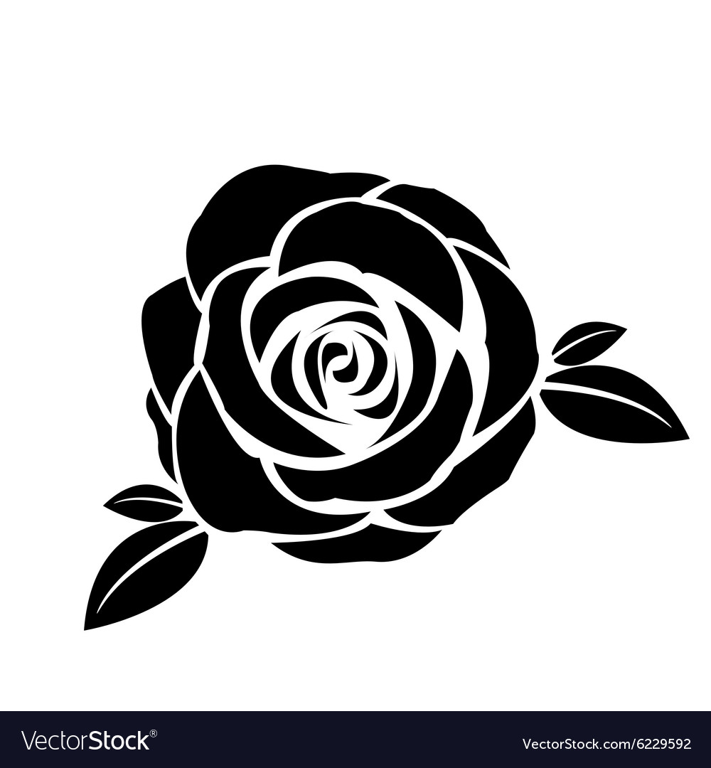 Detail Black Rose Vector Nomer 10