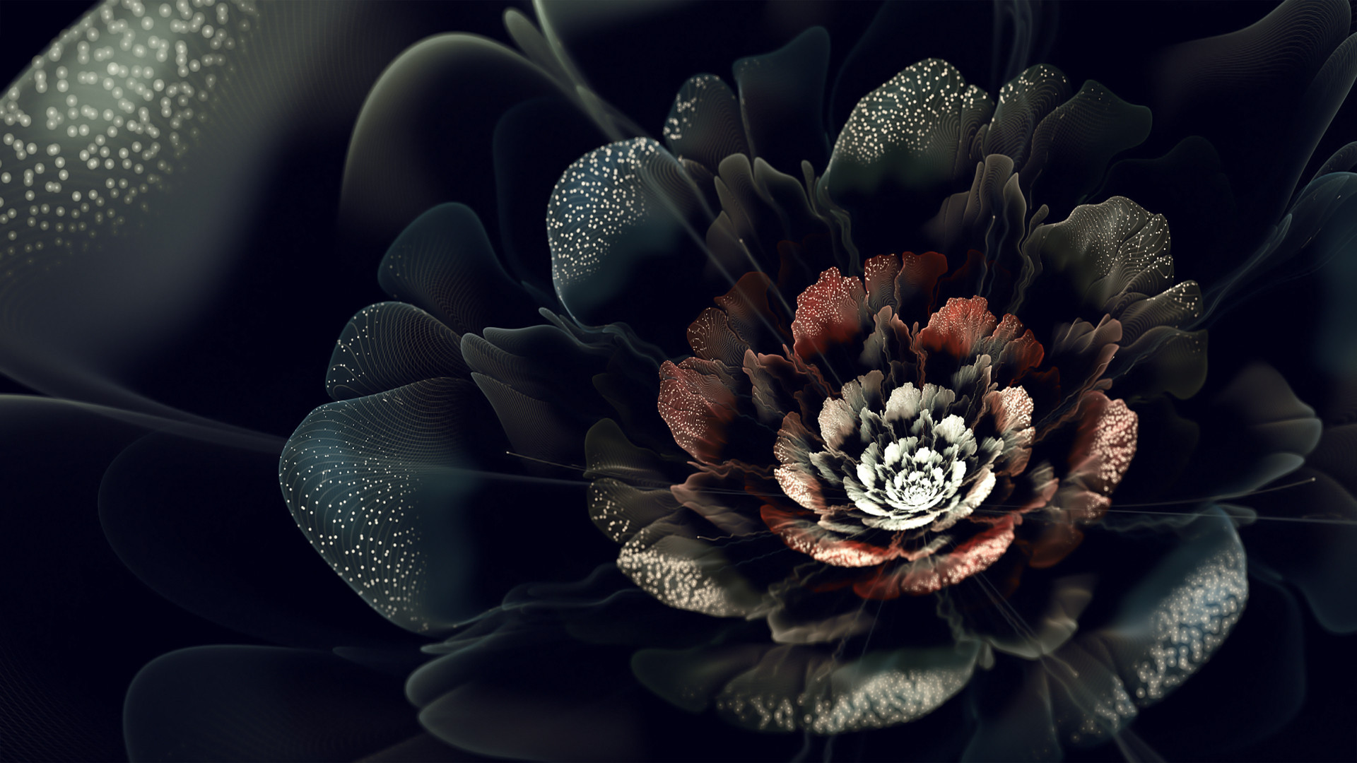 Detail Black Rose Wallpaper Hd Nomer 47