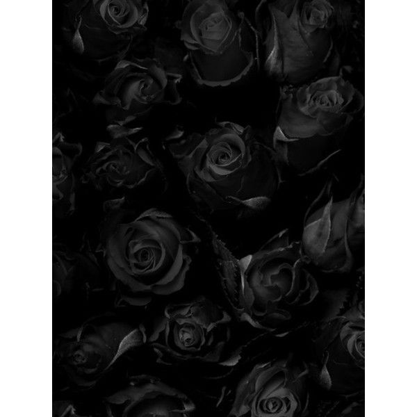 Detail Black Roses Tumblr Nomer 7