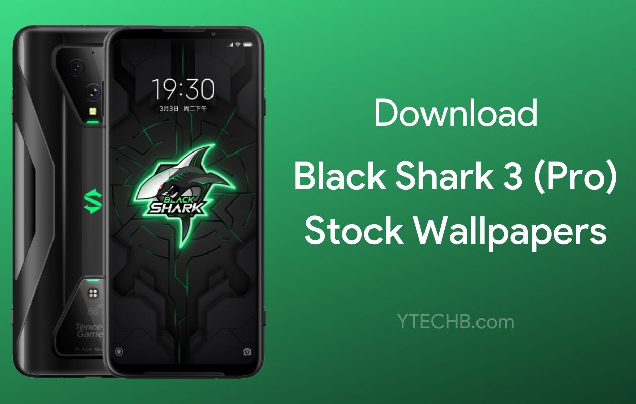 Detail Black Shark Wallpaper Nomer 33