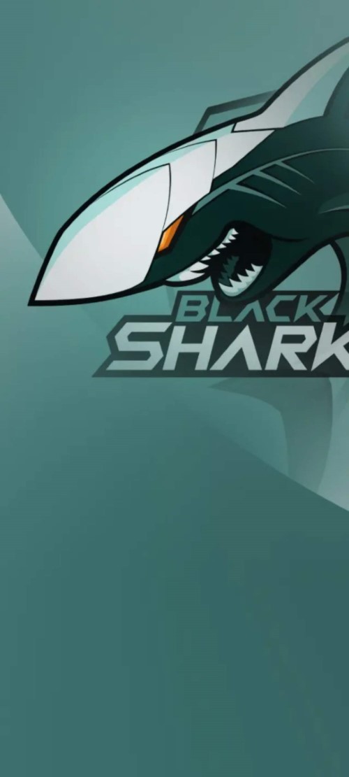 Detail Black Shark Wallpaper Nomer 54