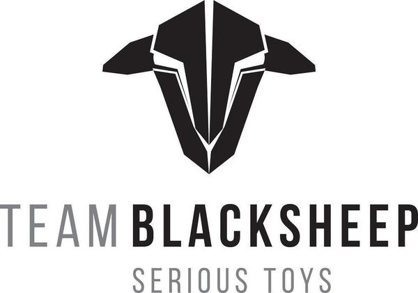 Detail Black Sheep Quadcopter Nomer 33