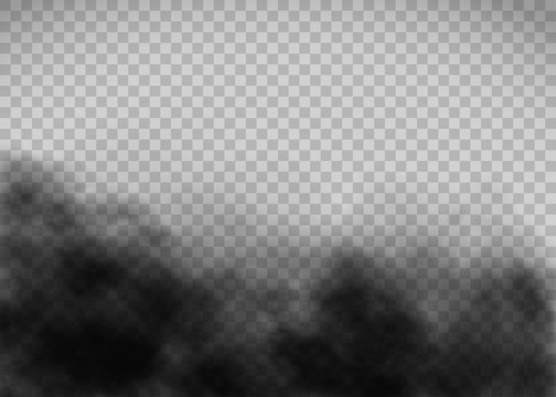 Detail Black Smoke Transparent Nomer 15
