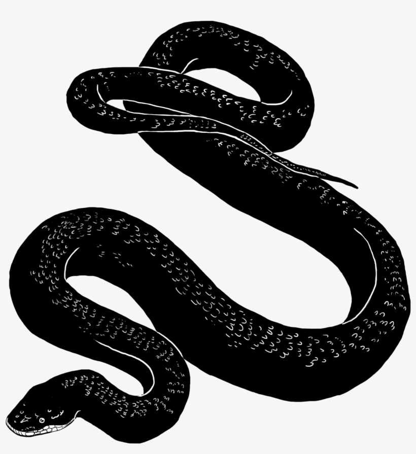 Detail Black Snake Png Nomer 2