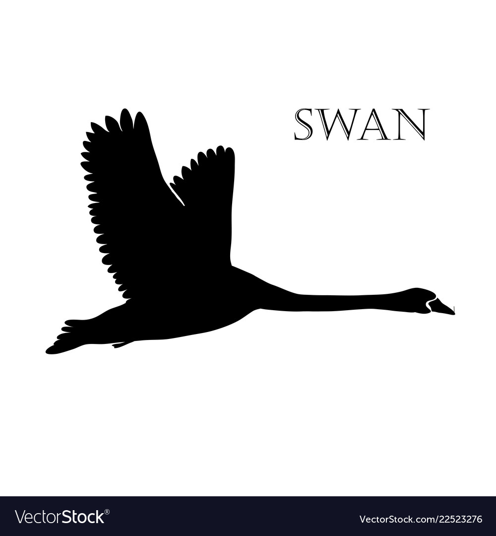 Detail Black Swan Logo Nomer 53