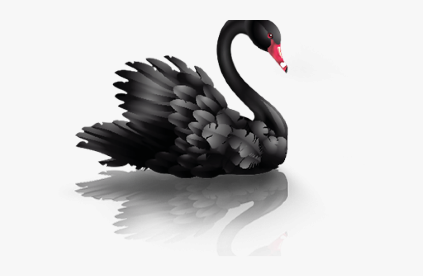 Detail Black Swan Png Nomer 2