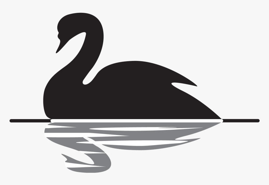 Detail Black Swan Png Nomer 23