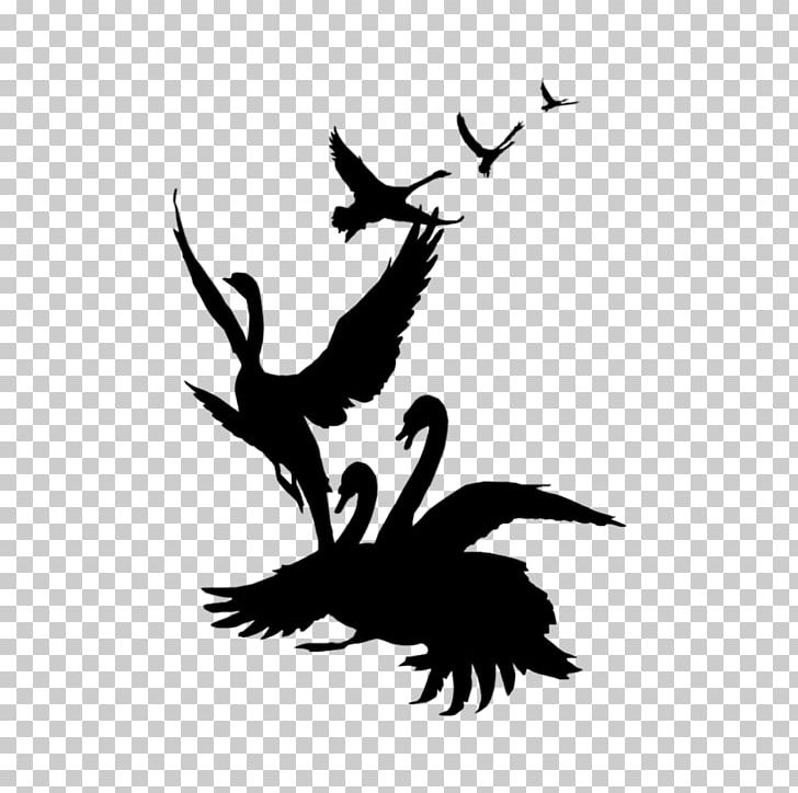 Detail Black Swan Png Nomer 43