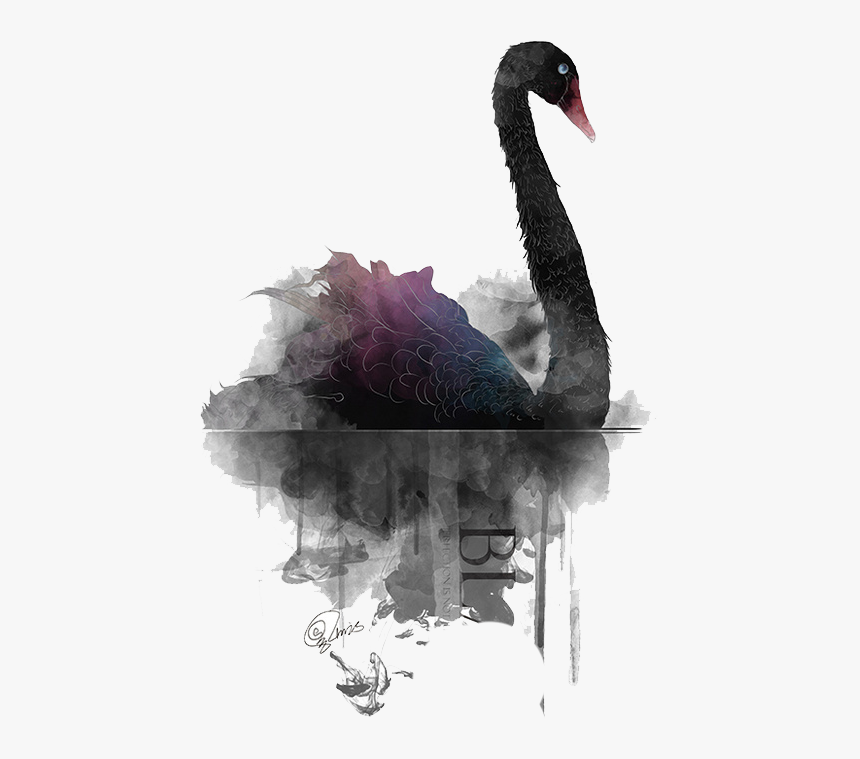 Detail Black Swan Png Nomer 6