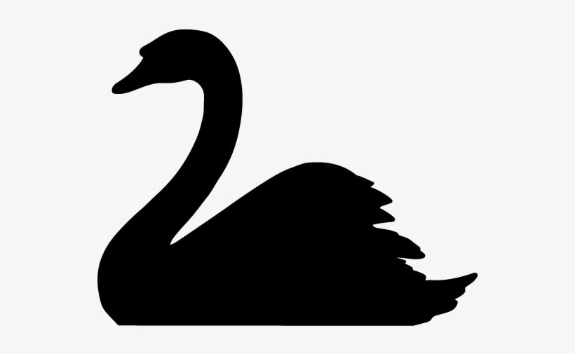 Detail Black Swan Png Nomer 8