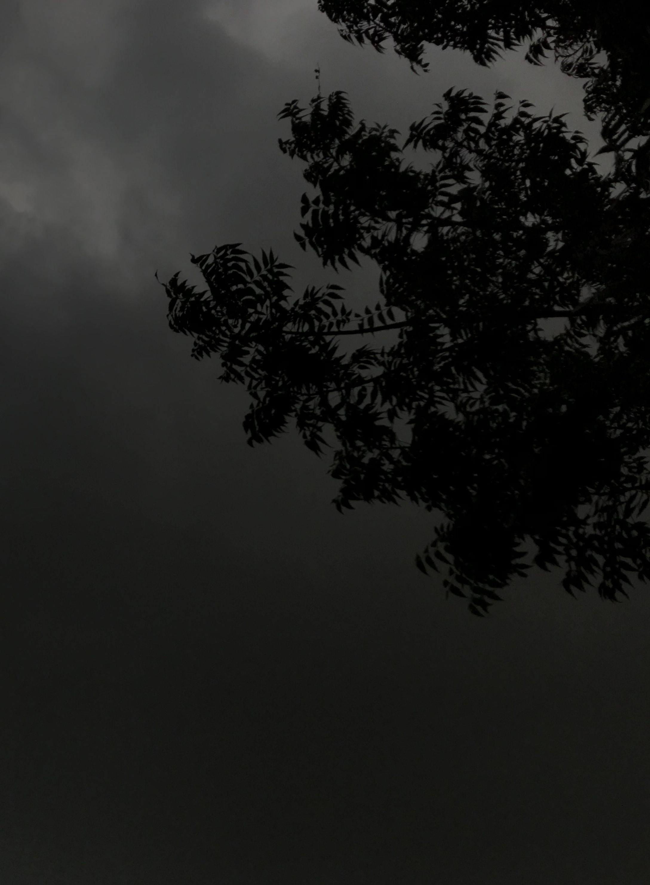 Detail Black Theme Wallpaper Nomer 15