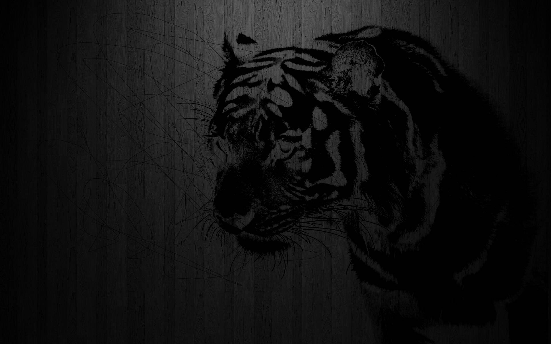 Detail Black Tiger Wallpaper Nomer 13