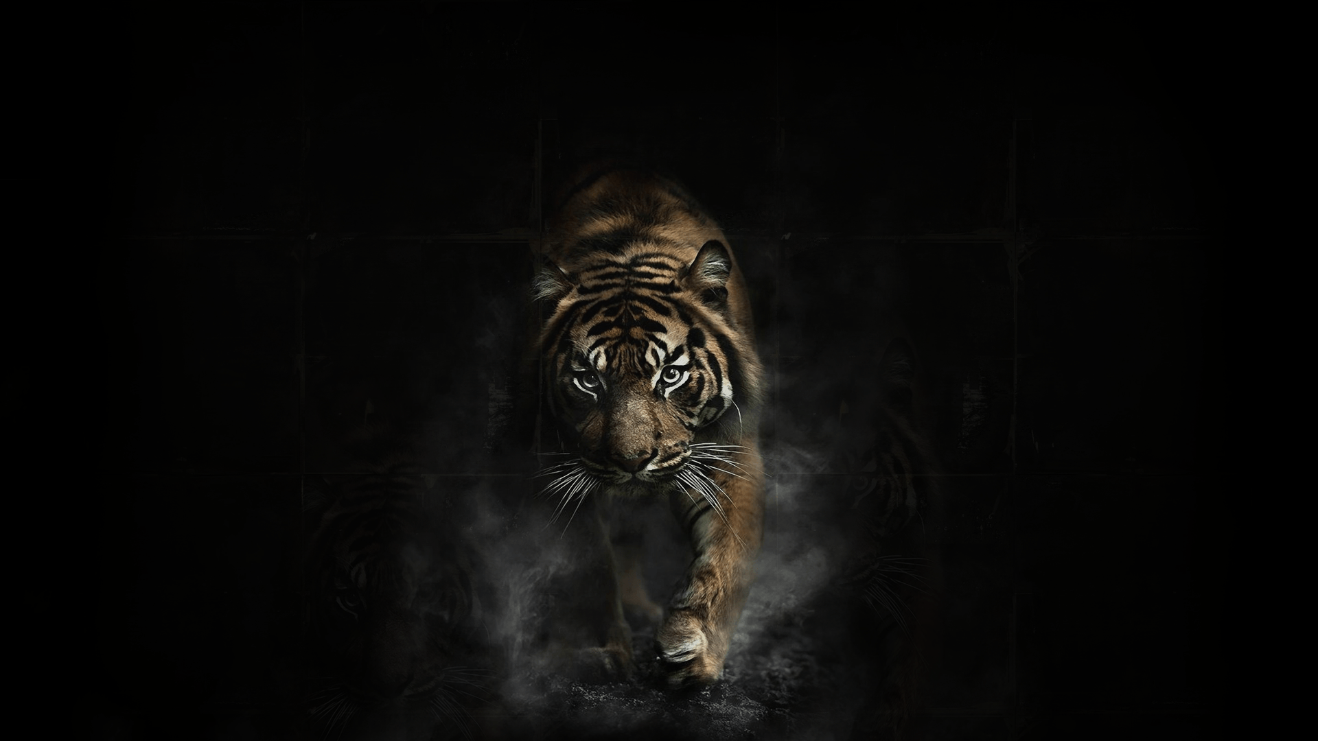 Detail Black Tiger Wallpaper Nomer 3