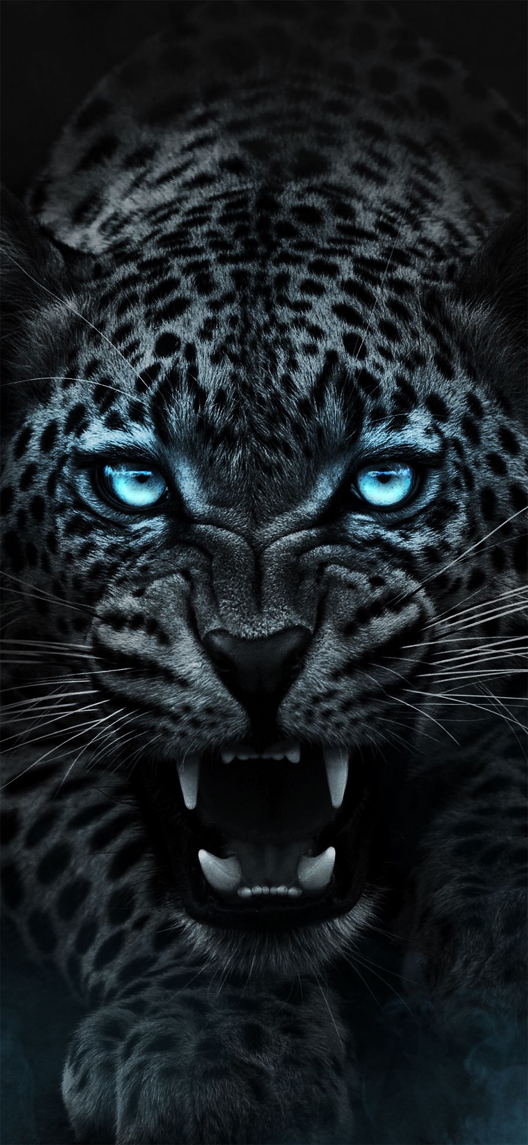 Detail Black Tiger Wallpaper Nomer 4