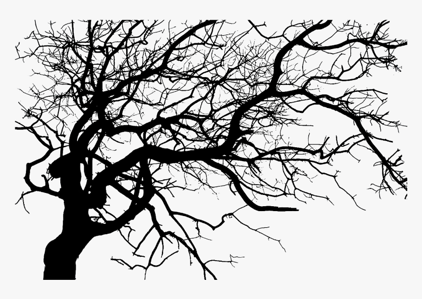 Detail Black Tree Png Nomer 19