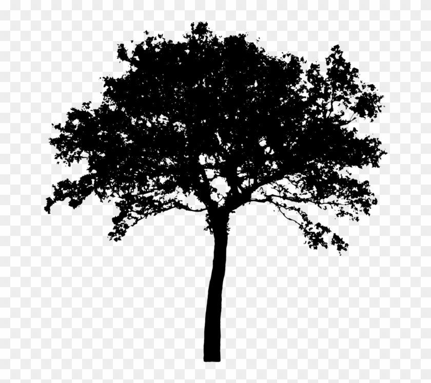 Detail Black Tree Png Nomer 2