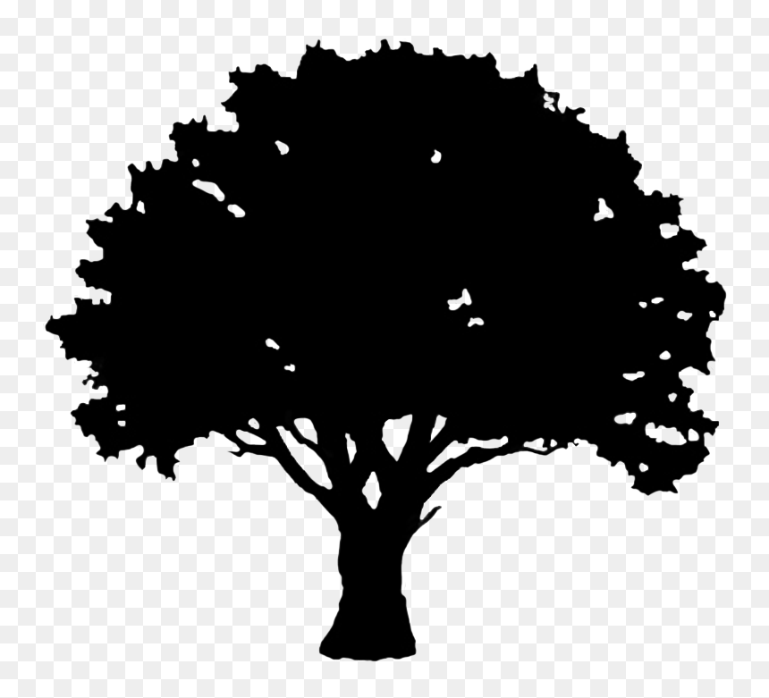 Detail Black Tree Png Nomer 20