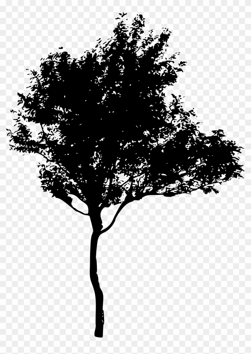 Detail Black Tree Png Nomer 21