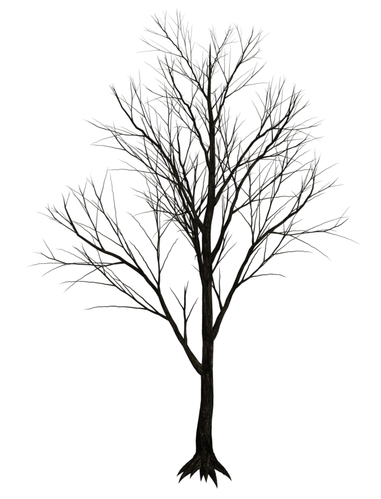 Detail Black Tree Png Nomer 22