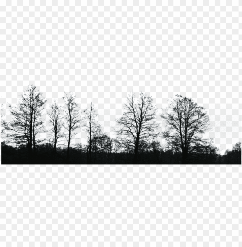 Detail Black Tree Png Nomer 24