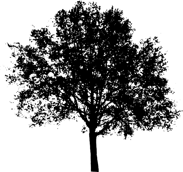 Detail Black Tree Png Nomer 28